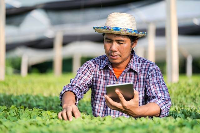 The Top 5 Highest Paying Careers In The Agriculture Industry - Datanfact